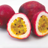 Set 2 Red Passion Fruit Plants Live, Fast-Growing Passionfruit Vine Live Plants Tree for Full Sun Growing, Summer Planting, 4-7 Inches, No Pot, Hardy Tropical Trellis Planting