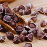 100 + Moringa Seeds, Starter Plant