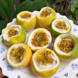 Set 2 Jamaican Golden Passion Fruit Plants Live, Fast-Growing Passionfruit Vine Live Plants Tree for Full Sun Growing, Summer Planting, 4-7 Inches, No Pot, Hardy Tropical Trellis Planting