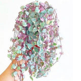 2 Variegated String of Hearts Live Plants, 4-6 Inch Tall, 2 Inch Pot