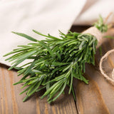 Live Rosemary Plant, Kitchen Herb Garden Plant, 4 Inch Pot