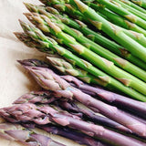 20 Mixed Asparagus Roots to Plant, Ready to Grow Plant