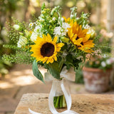 Yellow Sunflower Live Plant, Outdoor Garden Flower Plant, 3-5 Inch Tall