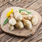 1 Lb Artichoke Live Tubers, Indoor Outdoor Plant