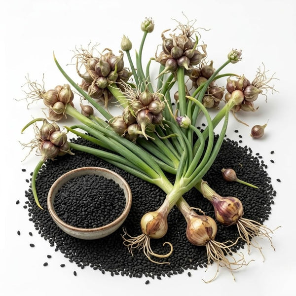 100 Egyptian Walking Onion Seeds, Heirloom Onion Seeds
