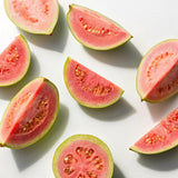 Pink Guava Live Plant, Orchard Tree, 8-10 Inch Tall
