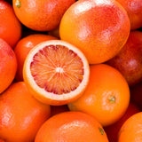 Orange Tree Live, Citrus Fruit Tree, 1 Ft Tall, 1 Gallon Pot