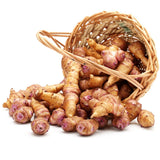 1 Pound Jerusalem Artichoke Tubers, High Yield Sunchoke Roots