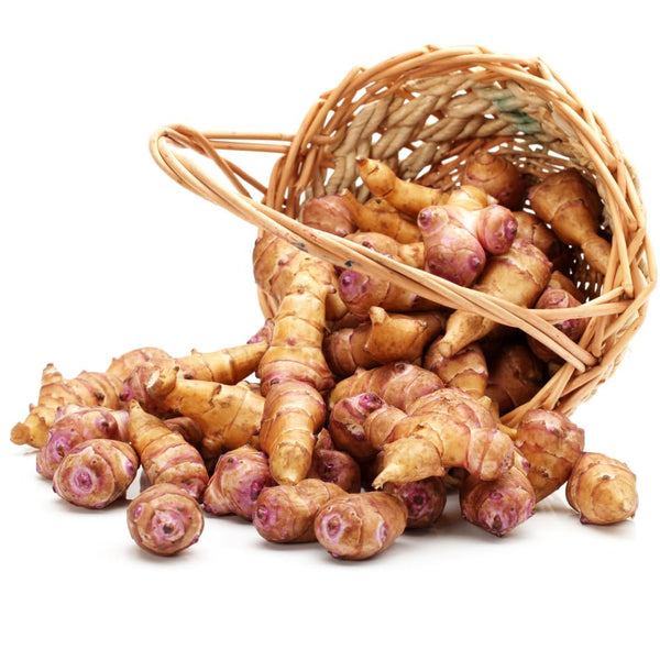 1 Pound Jerusalem Artichoke Tubers, High Yield Sunchoke Roots
