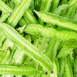 Winged Bean Live Plants, Bean Vine Seedling, 4-6 Inch Tall, 4 Inch Pot