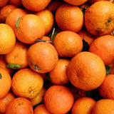 Tangerine Live Tree, Mandarin Citrus Fruit Tree, 2-3 Ft Tall, 1 Gal Pot