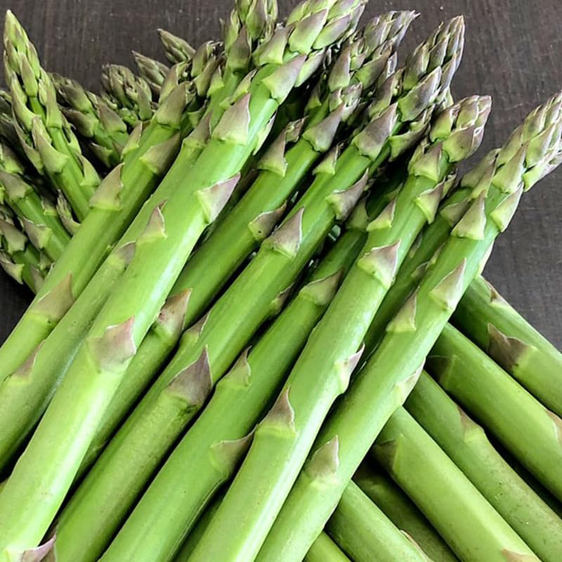 20 Green Asparagus Live Roots, Ready to Grow Plant