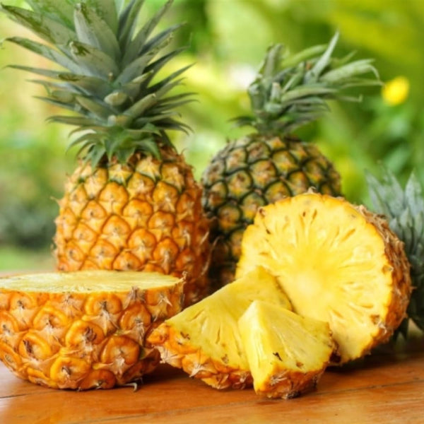 Pineapple Fruit Live Plant, Cold Hardy Fruit Plant, 4-6 Inch Tall