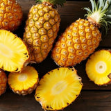 Pineapple Fruit Live Plant, Cold Hardy Fruit Plant, 4-6 Inch Tall