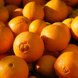 Red Navel Orange Tree, Hardy Garden Plant, 1-2 Ft Tall, 1 Gallon Pot