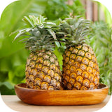 Pineapple Fruit Live Plant, Cold Hardy Fruit Plant, 4-6 Inch Tall