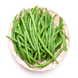Green Bean Plant Live, Garden Vegetable Plant, 4 Inch Pot