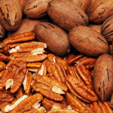 2 Pecan Trees, Starter Plant, 1-2 Ft Tall