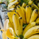 Grand Nain Banana Plant Live, Hardy Garden Plant, 4-6 Inch Tall