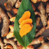 8 Turmeric Roots for Planting, Live Rhizomes Turmeric Curcuma Longa