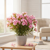 2 Pink Oleander Plants Live, Well-Rooted Starter Plant, 4-6 Inch Tall