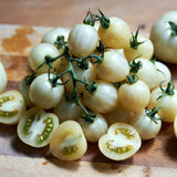 White Cherry Tomato Live Plant 4-7 Inch Tall, 4 Inch Pot