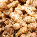5 Jerusalem Artichoke Tubers, Raised Bed Vegetable Roots