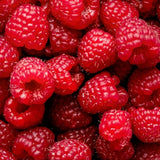 2 Red Raspberry Live Plants, Home Garden Plant, 4-6 Inch Tall