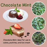 2 Chocolate Mint Plants Live, 4-5 Inch Tall