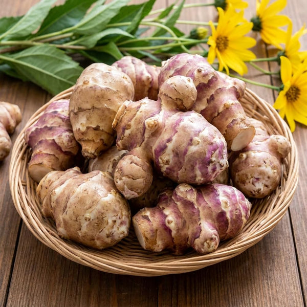 8 Oz Sunchoke Tubers, Sunchoke Roots for Planting