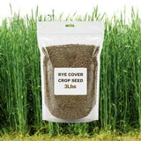 3 Lb Rye Cover Crop Seeds for Planting, Heirloom Garden Seeds