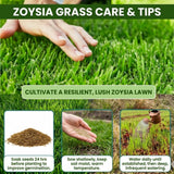 90000 Green Emerald Zoysia Grass Seeds for Planting, Indoor Outdoor Plant