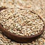 3 Lb Rye Cover Crop Seeds for Planting, Heirloom Garden Seeds
