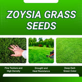 10000 Zoysia Grass Seeds for Lawn, Emerald Zoysia Grass Seed