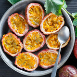 Red Passion Fruit Live Plant, Well-Rooted Starter Plant, 4-6 Inch Tall