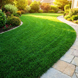 10000 Zoysia Grass Seeds for Lawn, Emerald Zoysia Grass Seed