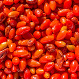 Red Goji Berry Live Plant, Garden Plant, 4-6 Inch Tall