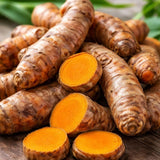 10 Yellow Turmeric Live Roots, Indoor Outdoor Plant