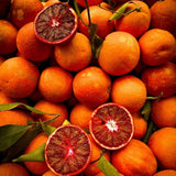 Red Blood Orange Live Citrus Tree, 24–30 Inch Tall