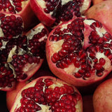 Live Pomegranate Plant, Fruit Tree, 8-10 Inch Tall, 4 Inch Pot