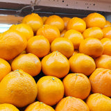 Orange Mandarin Live Plant, Home Garden Plant, 1 Gallon Pot