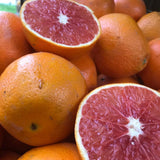 Red Navel Orange Tree Plant, Grafted Citrus Plant 2-3 Ft Tall, 1 Gallon Pot