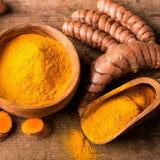 15 Turmeric Roots for Planting, Turmeric Rhizomes, Edible Tropical Herb