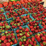 25 Red Live Strawberry Plants, Home Garden Plant, 3-5 Inch Tall