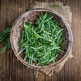 Live Rosemary Plant, Kitchen Herb Garden Plant, 4 Inch Pot