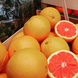 Red Navel Orange Fruit Tree Live, Citrus Plant, 1-2 Ft Tall, Gallon Pot