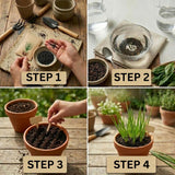 200 Egyptian Walking Onion Seeds for Planting, Garden Plant
