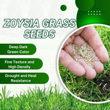 20000 Zoysia Grass Seeds for Lawn, Emerald Zoysia Grass Seed