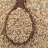 5 Lb Rye Cover Crop Garden Seeds, Heirloom Garden Seeds
