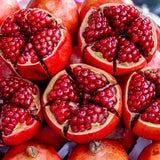 Live Pomegranate Plant, Indoor Outdoor Plant, 4-7 Inch Tall